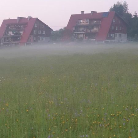 Apartament Wrzos Bieszczady Чорна Екстер'єр фото