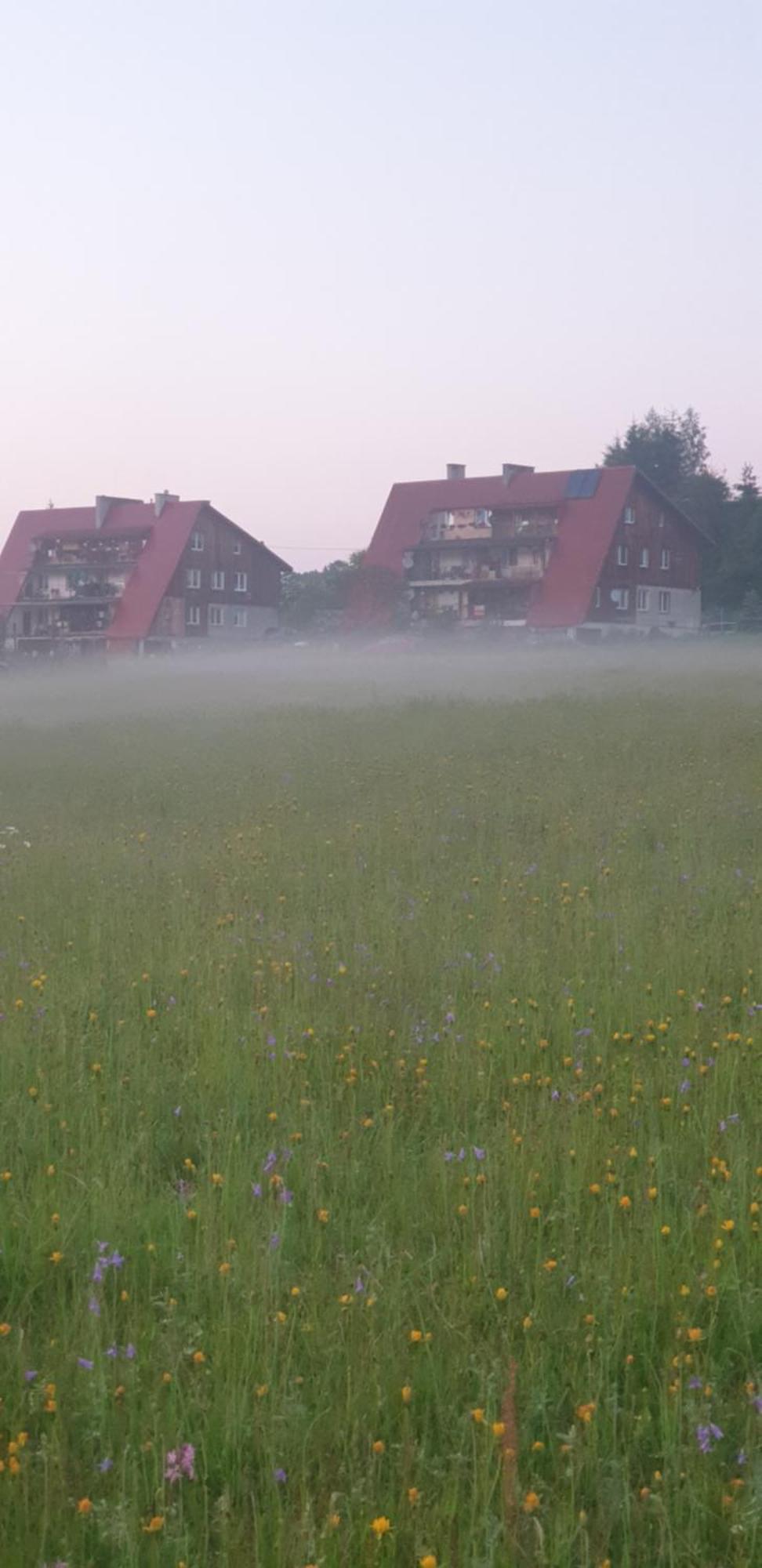 Apartament Wrzos Bieszczady Чорна Екстер'єр фото
